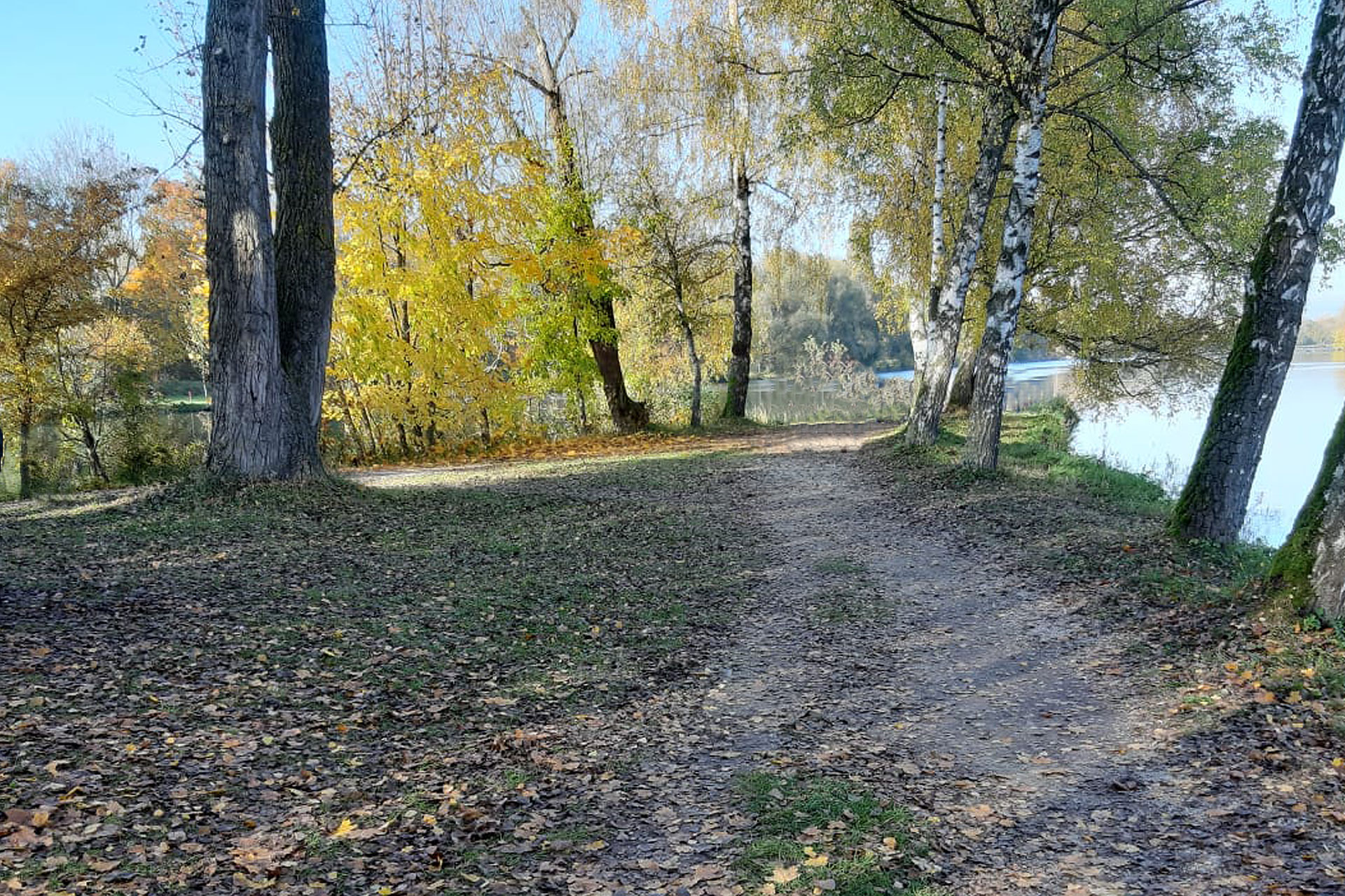 NLheader2