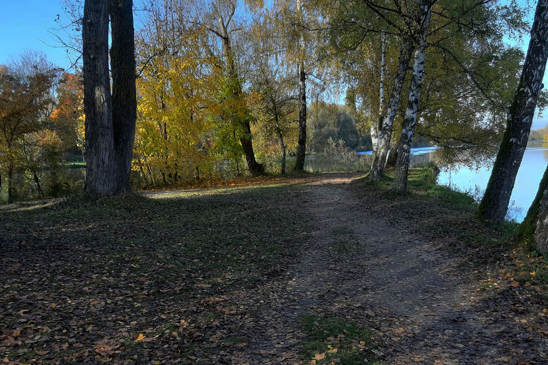 NLheader3